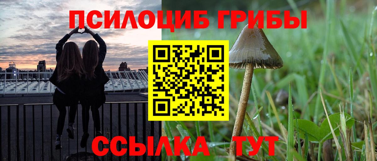 Биробиджан  Псилоцибиновые грибы Psilocybine cubensis  Галлюциногенные грибы Psilocybe  Вход с VPN 